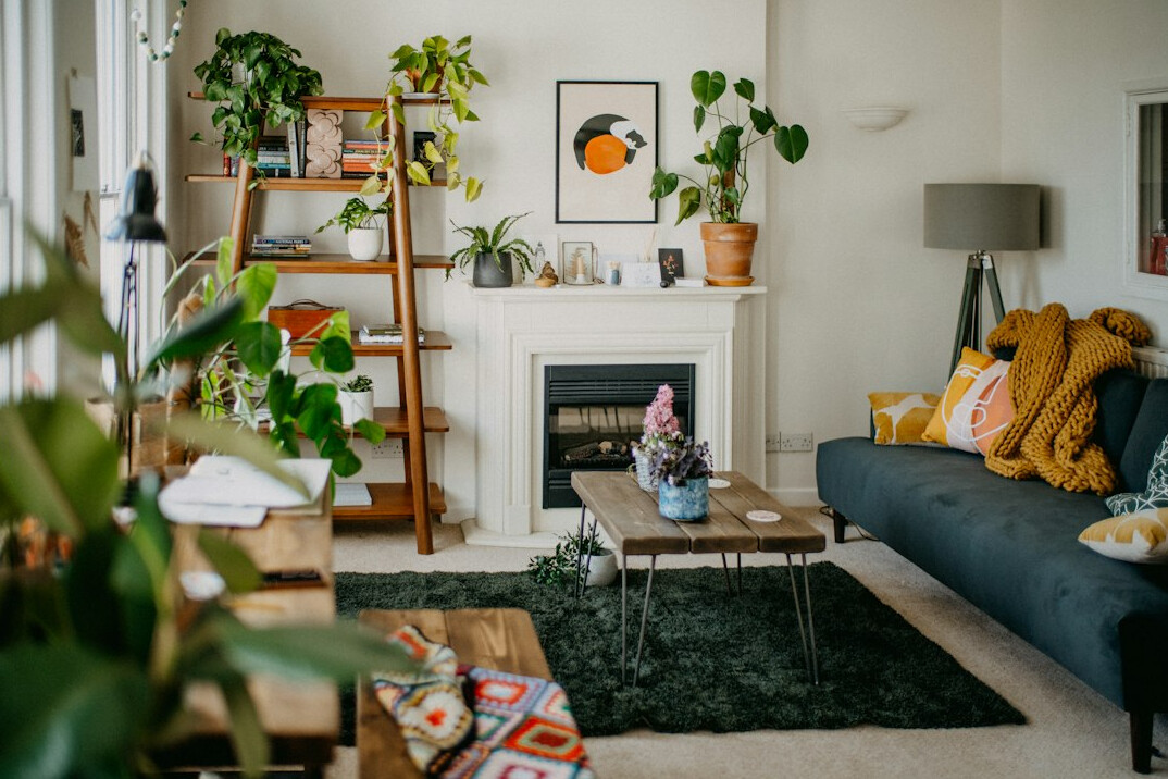 tidy living room with plants